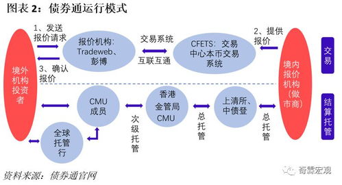 李奇霖 债市新力量―境外机构