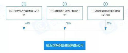 重磅 盘点2020年新成立10家钢企